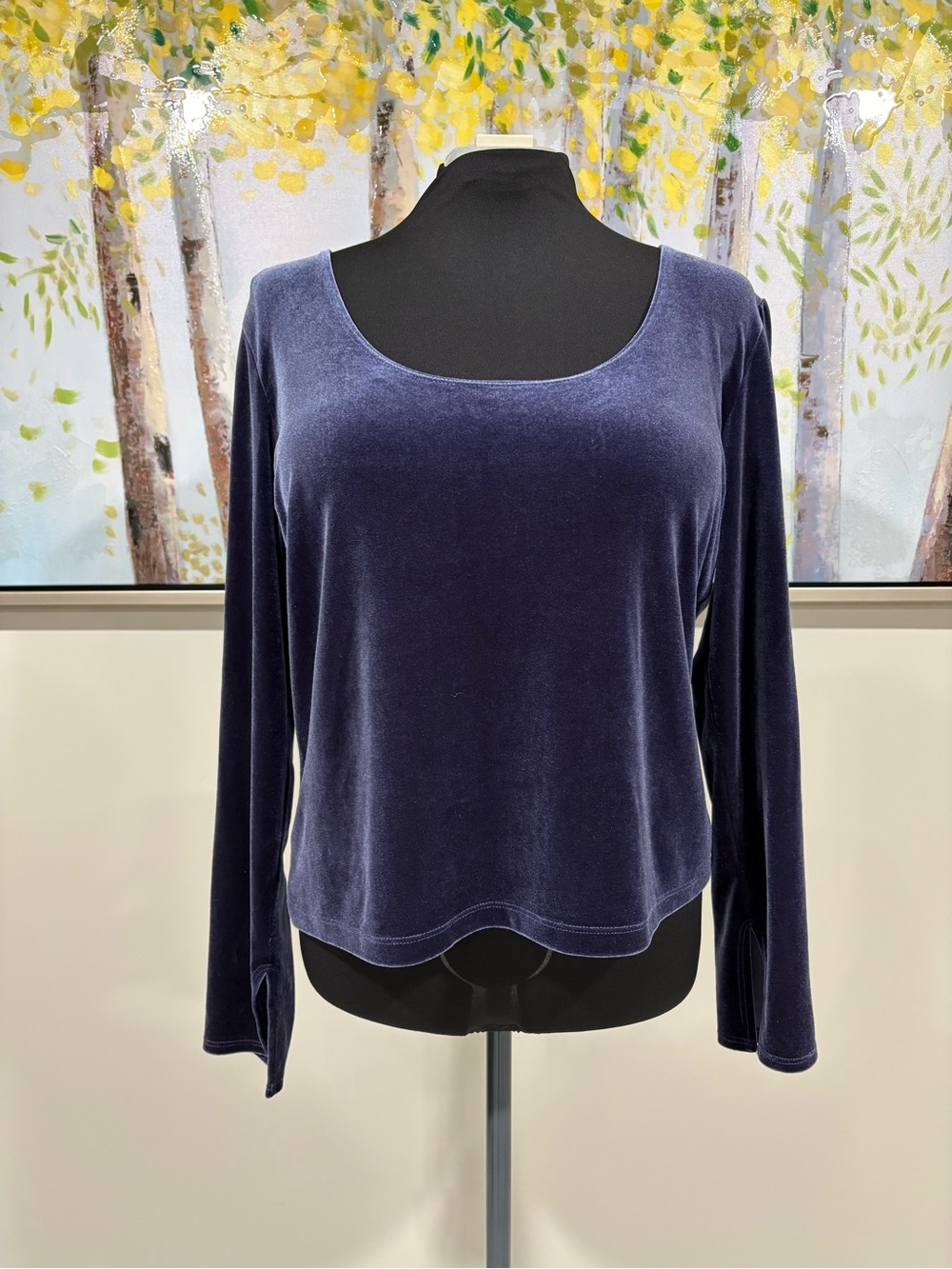 Boston Proper Y2K Blue Velvet Scoop-Neck Long Sleeve Top